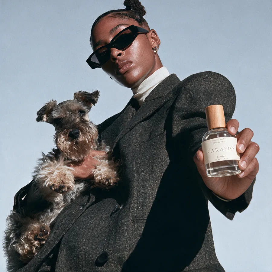A person holding a schnauzer and a bottle of CARAFIO Citrus Veil No.01 dog perfume.