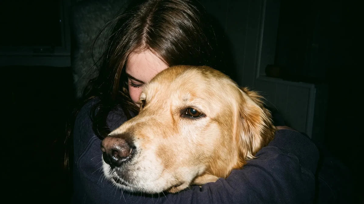 A woman embracing a golden retriever.